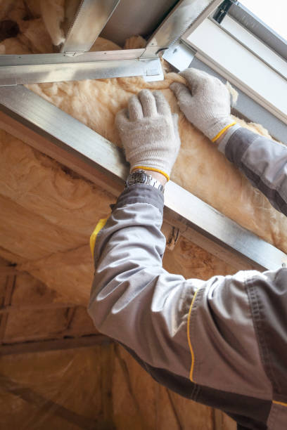 Best Commercial Insulation Contractor  in Safety Harbor, FL