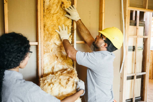 Best Affordable Insulation Services  in Safety Harbor, FL