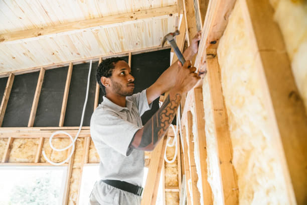 Best Insulation Contractors for Homes  in Safety Harbor, FL