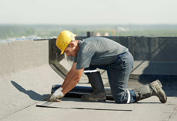 Best Insulation Repair Services  in Safety Harbor, FL