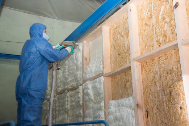 Best Attic Insulation Installation  in Safety Harbor, FL