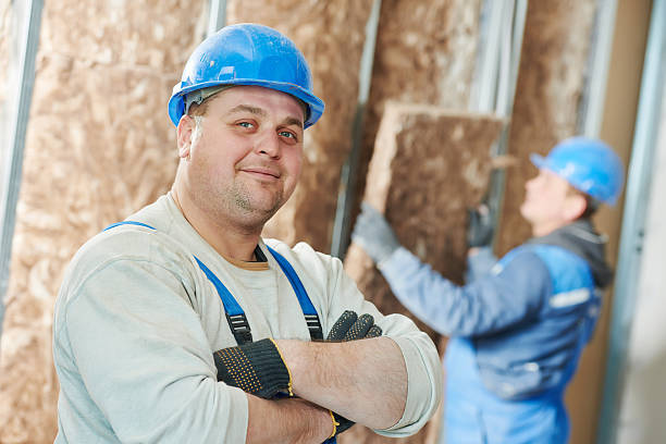 Best Insulation Removal  in Safety Harbor, FL