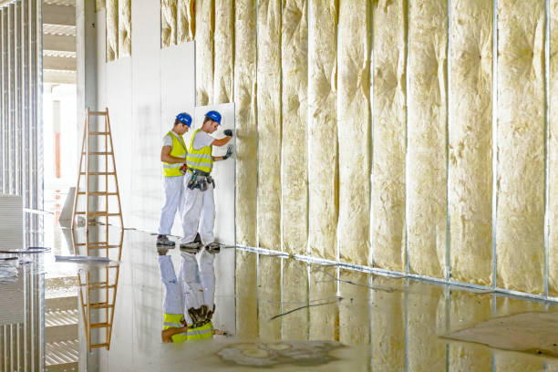 Best Insulation for New Construction  in Safety Harbor, FL